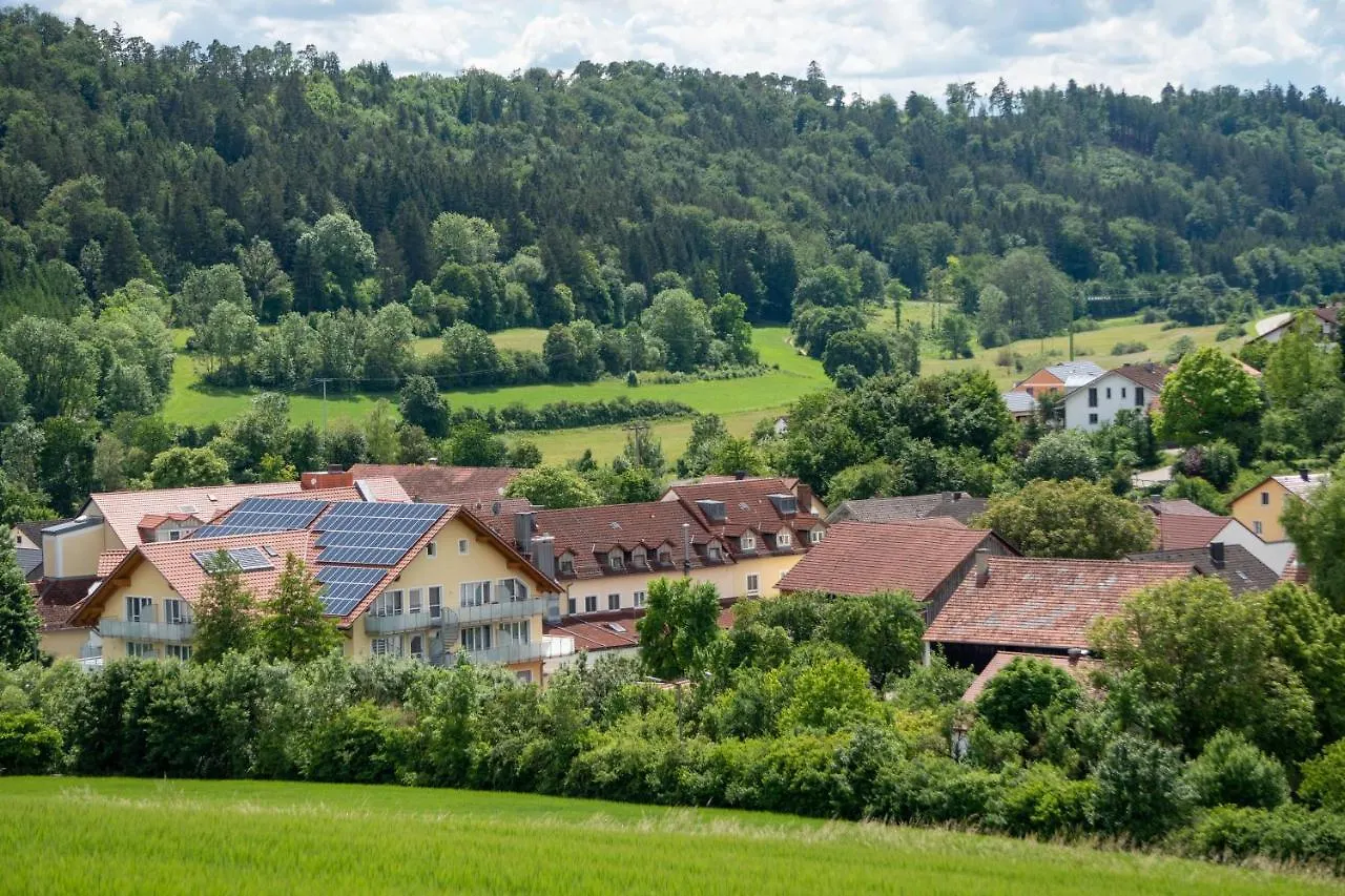 Hotel Dirsch Wellness & Spa Resort Emsing
