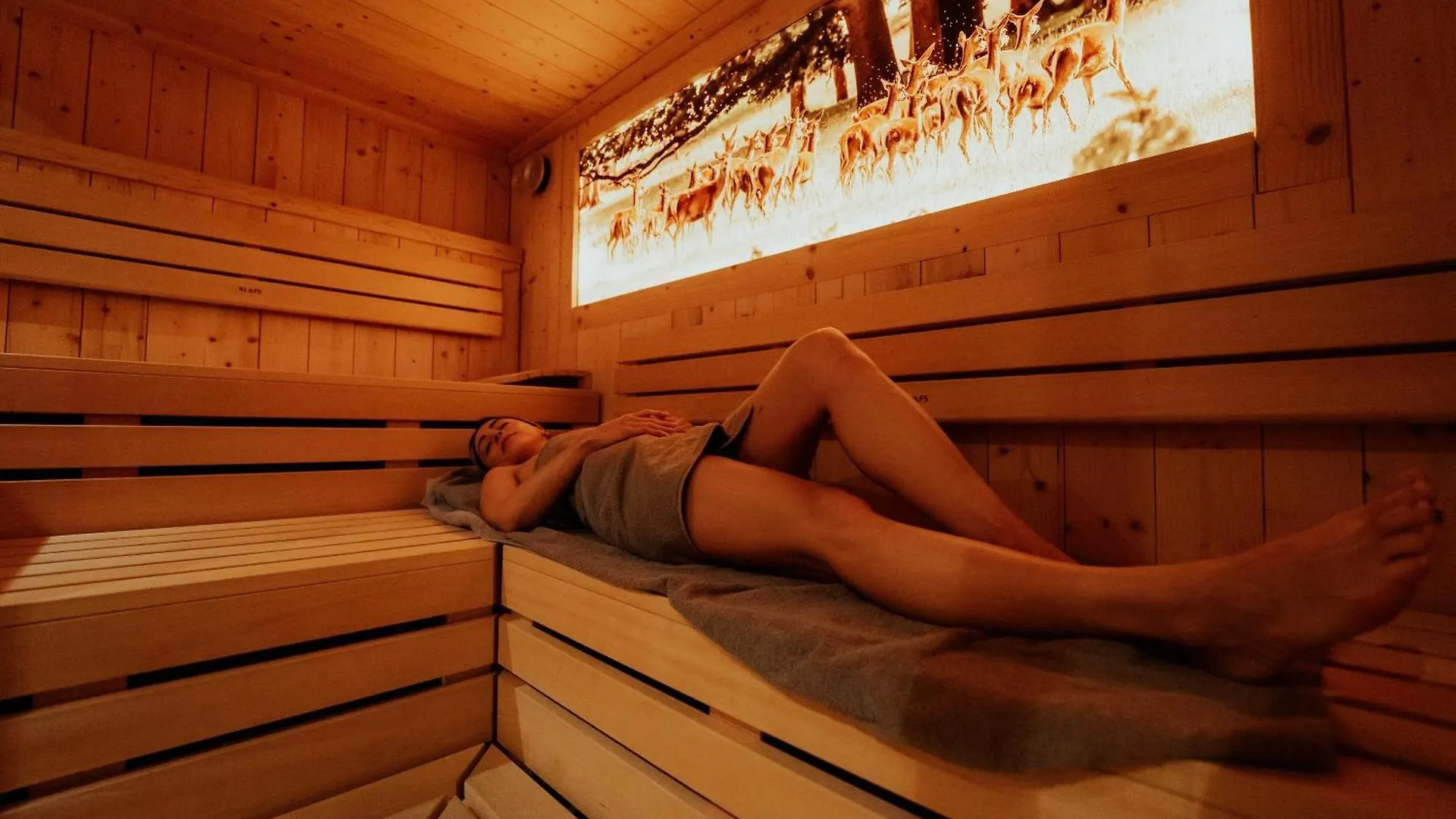 Hotel Dirsch Wellness & Spa Resort Emsing