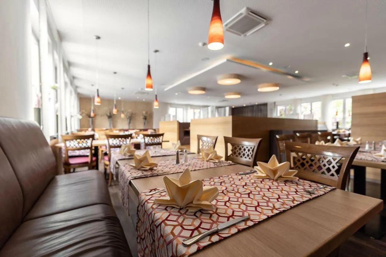 Hotel Dirsch Wellness & Spa Resort Emsing